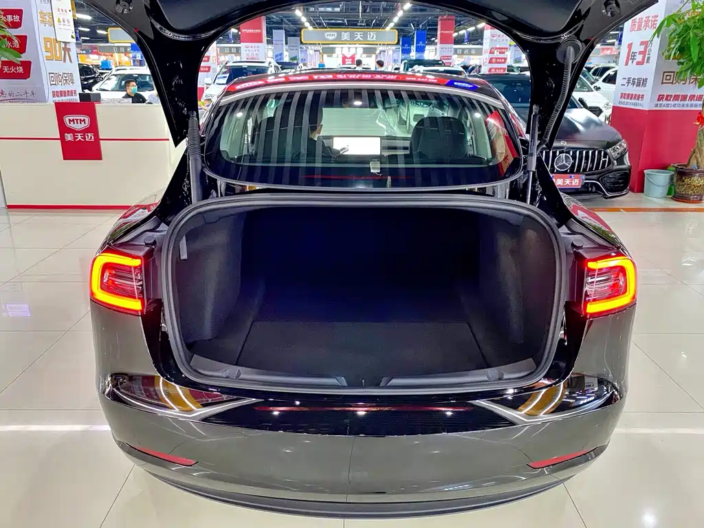 Tesla Model 3 — миниатюра 7
