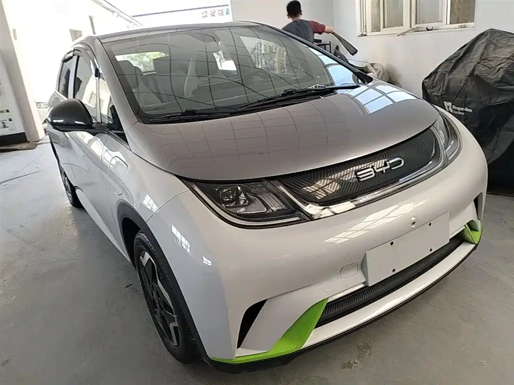 BYD Dolphin 2021 405km Fashion