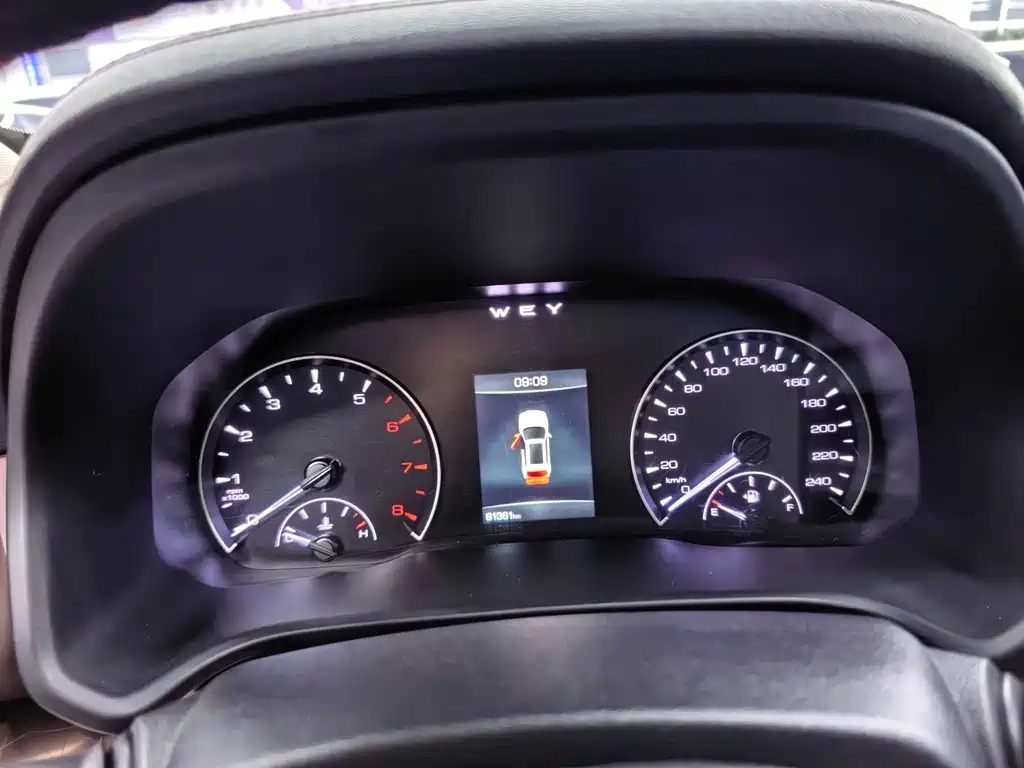 WEI PAI WEI BRAND VV5