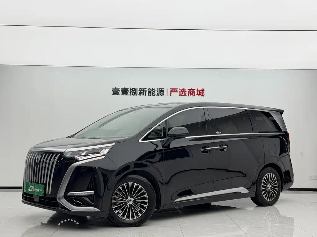 Denza Denza D9