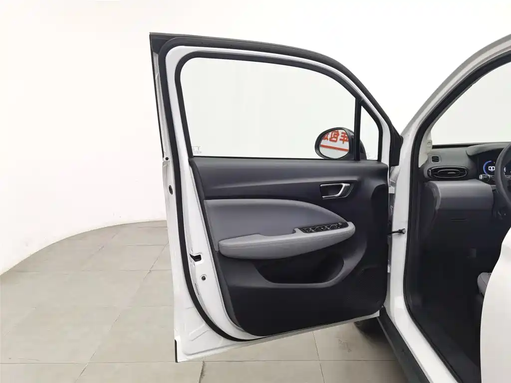 Leapmotor T03 2025 310