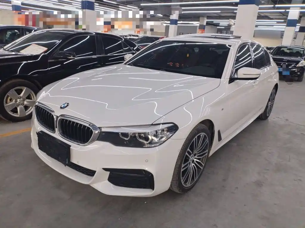 BMW 5 Series 2019