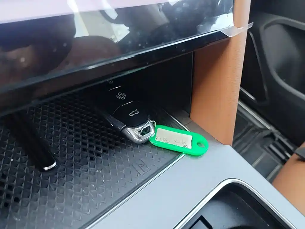 Hongqi Hongqi HS7 PHEV — миниатюра 13
