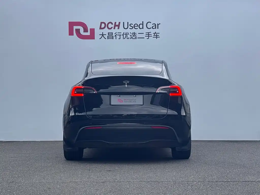 Tesla Model Y — миниатюра 3