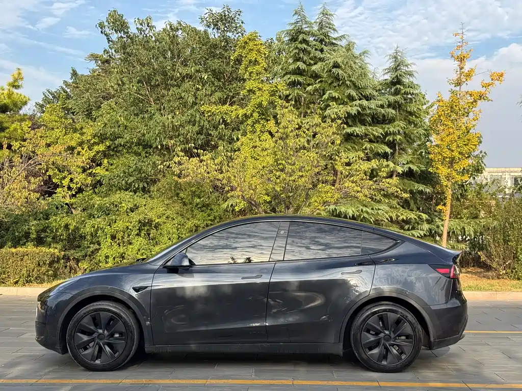 Tesla Model Y — миниатюра 4