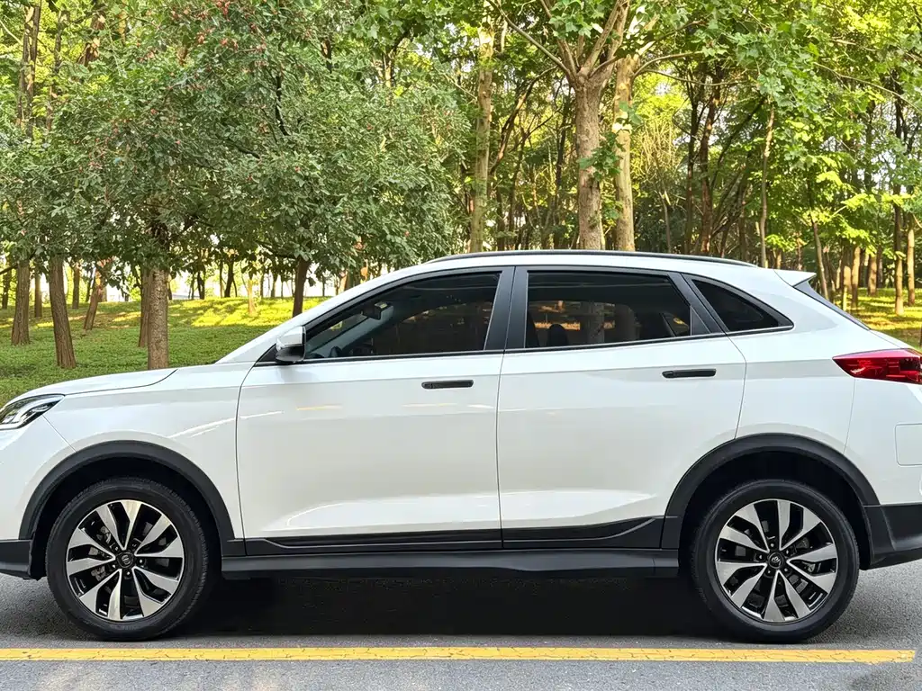 WM Motor EX5 — миниатюра 5