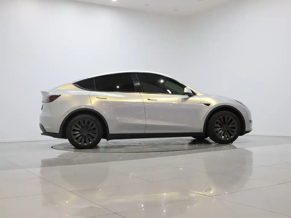 Tesla Model Y — миниатюра 7