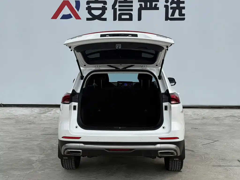 Haval H6 — миниатюра 8