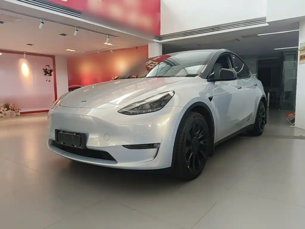 Tesla Model Y — миниатюра 2
