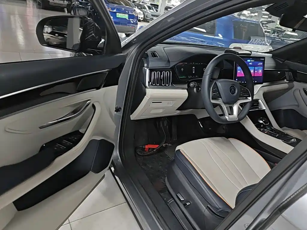 BYD PLUS New Energy — миниатюра 16
