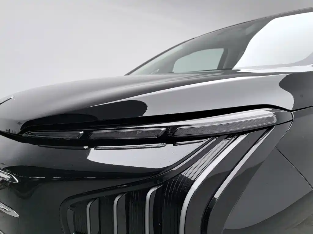 Fengxing Xinghai V9 — миниатюра 7
