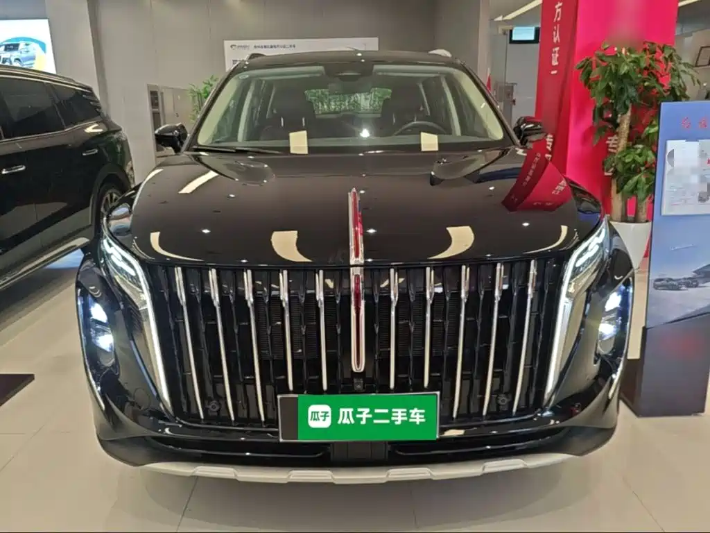 Hongqi Hongqi HS7 PHEV — миниатюра 3