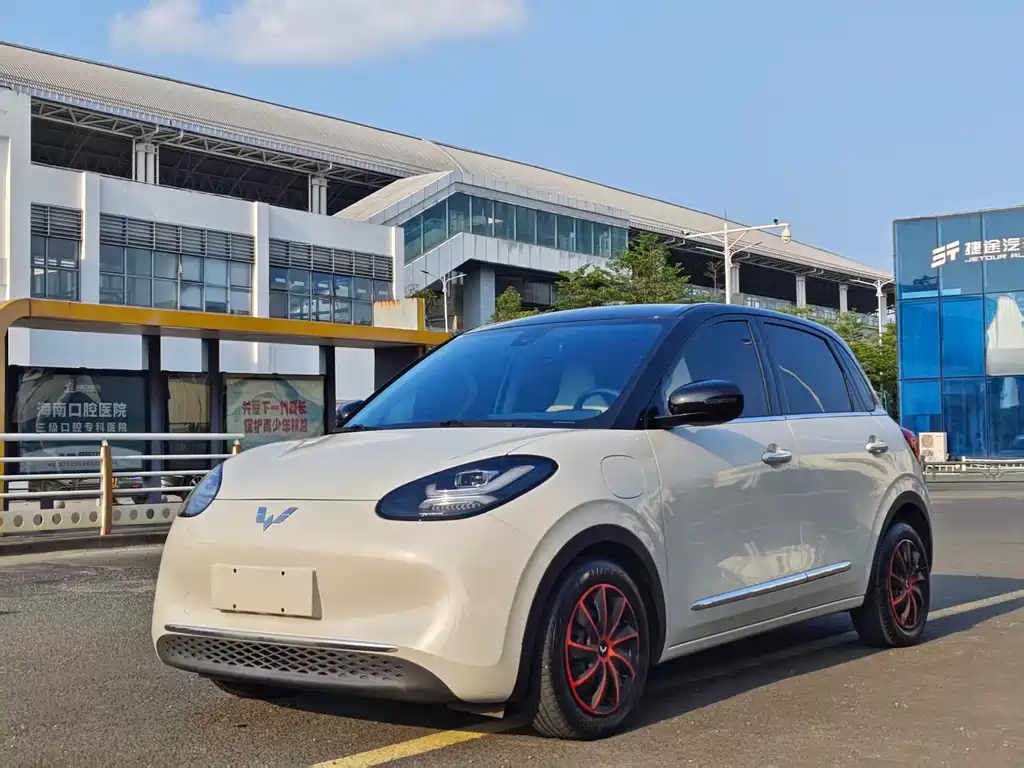 Wuling Bingo 2024