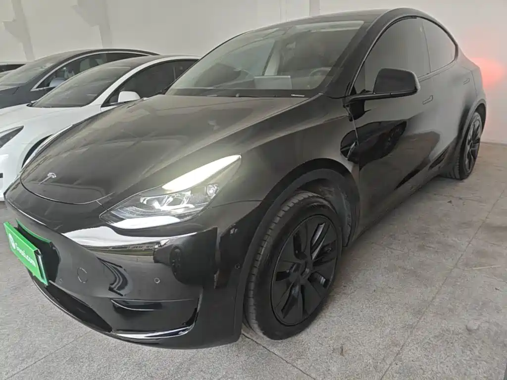 Tesla Model Y — миниатюра 2