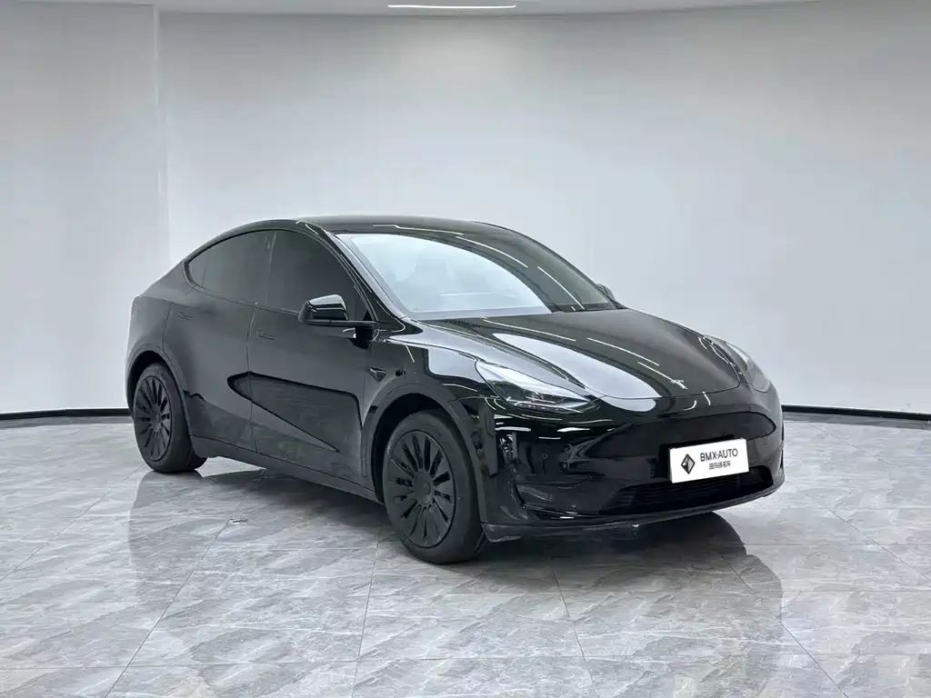 Tesla Model Y — миниатюра 2