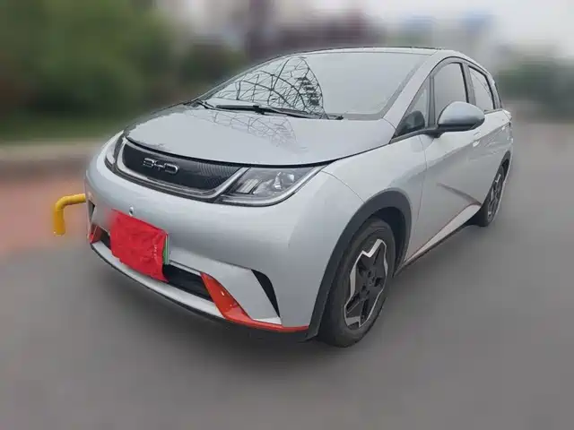 2021 BYD Dolphin