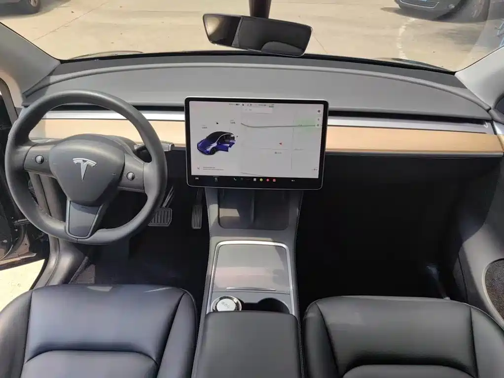 Tesla Model Y — миниатюра 9