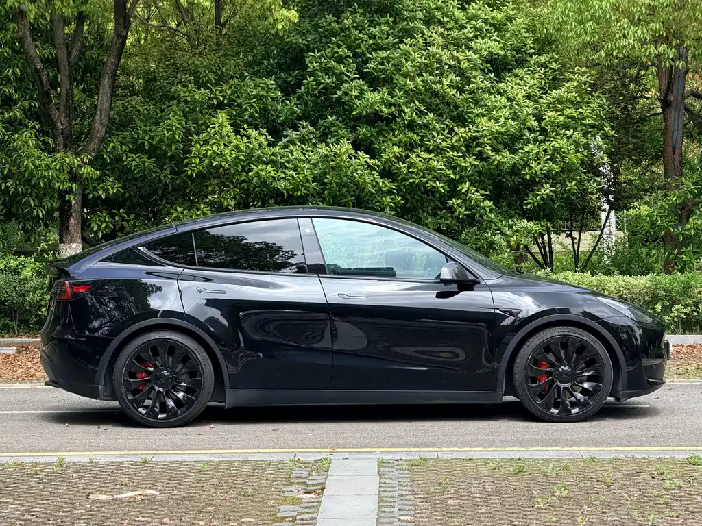 Tesla Model Y 2021 Performance