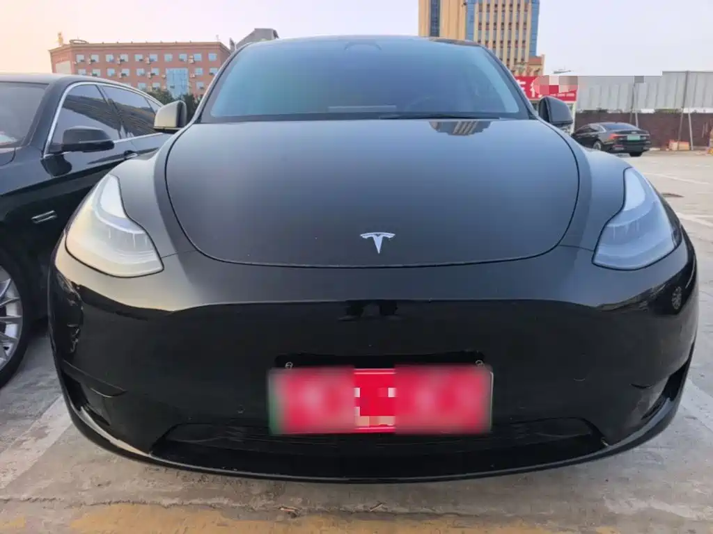 Tesla Model Y — миниатюра 3