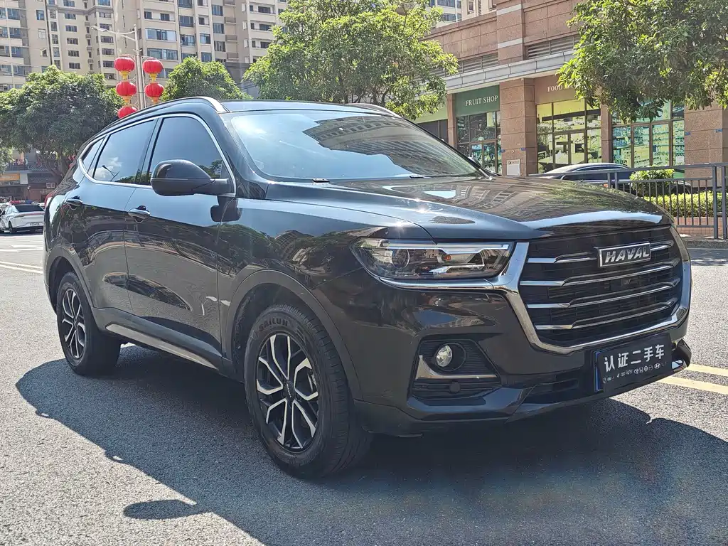 Haval H6 — миниатюра 3