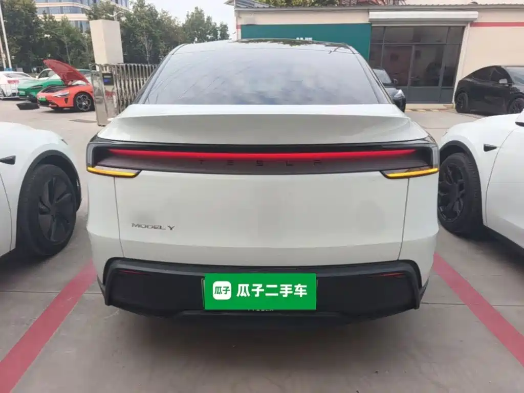 Tesla Model Y — миниатюра 6