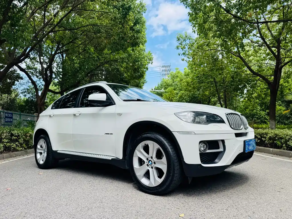 BMW X6 — миниатюра 3