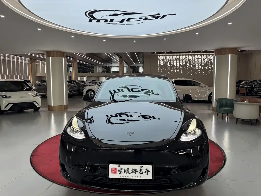 Tesla Model Y — миниатюра 2