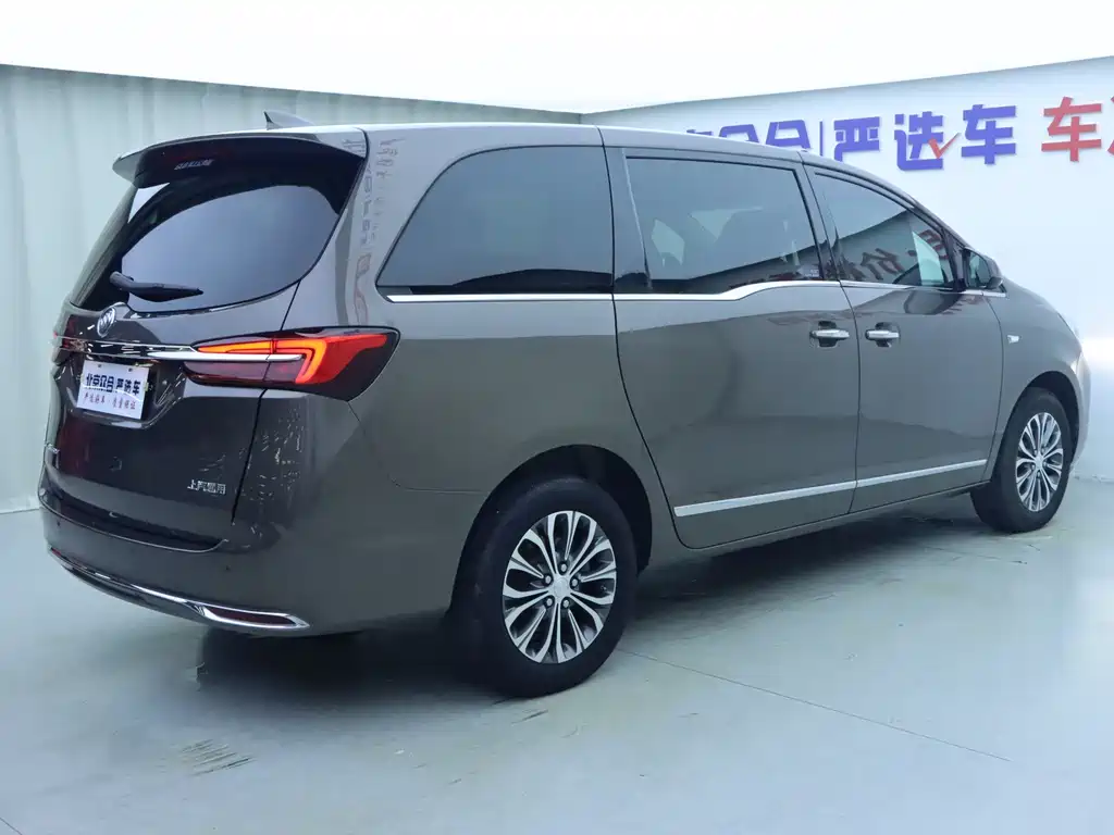 Buick GL8 Land Business Class 652T Luxury Type, фото 26