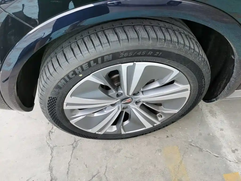 Hongqi Hongqi E-HS9 — миниатюра 23