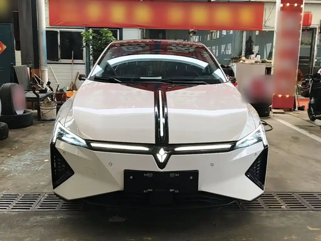 Lingxi Lingxi L — миниатюра 3