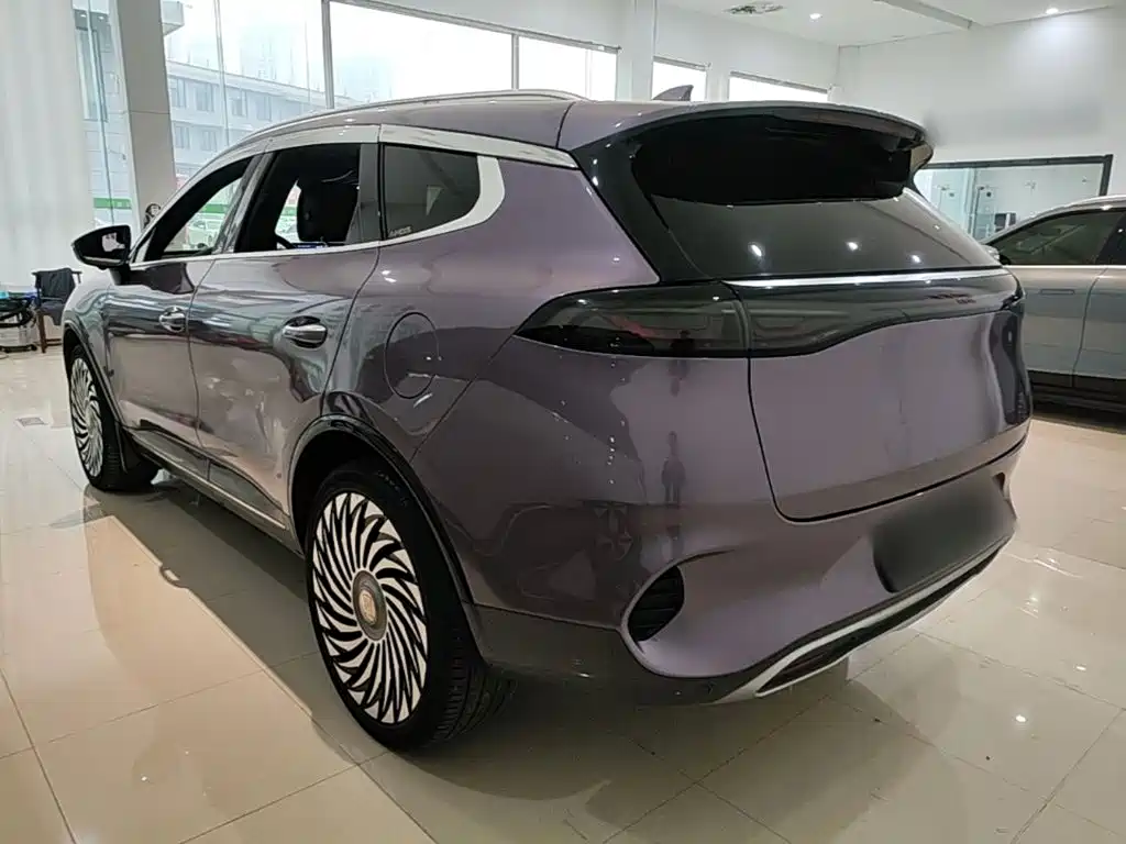 Denza Denza X — миниатюра 5