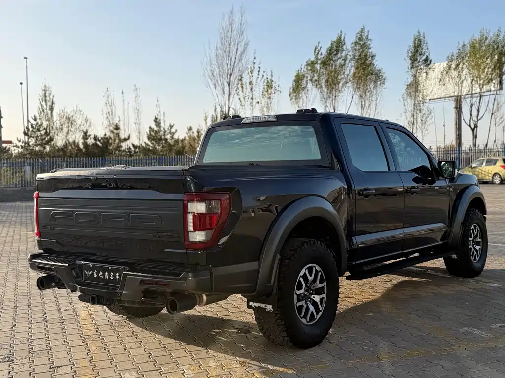 Ford F-150 Raptor — миниатюра 6