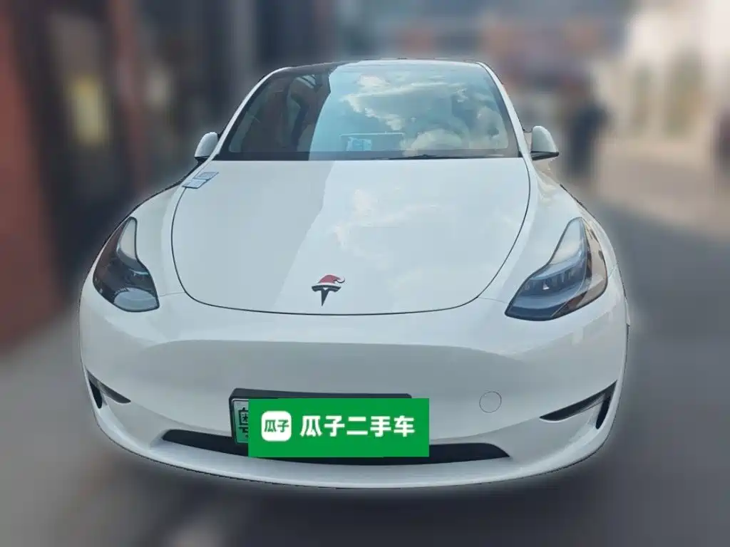 Tesla Model Y — миниатюра 2