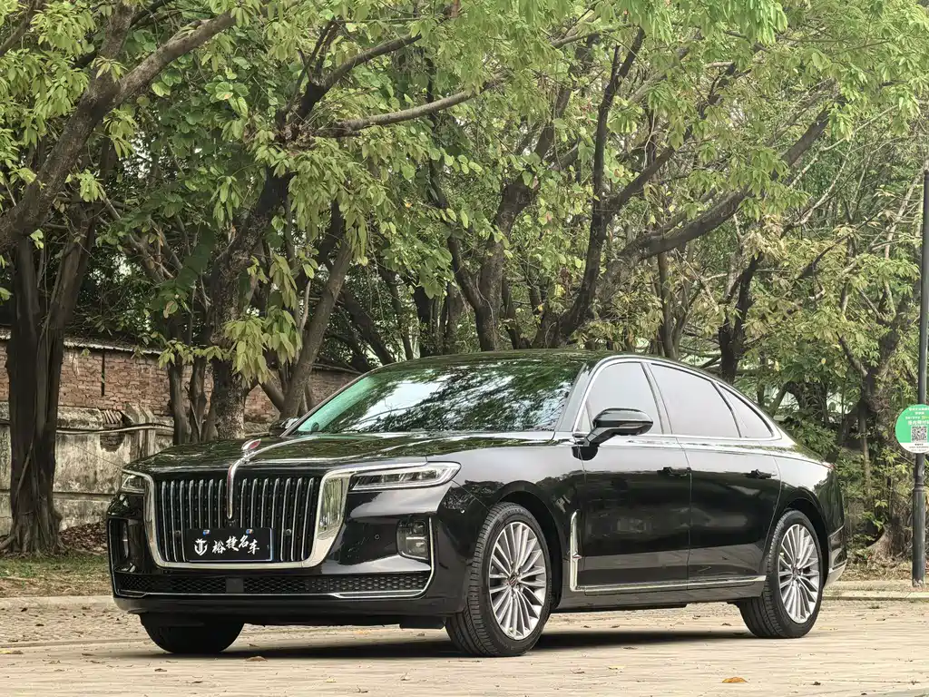 Hongqi Hongqi H9 2021