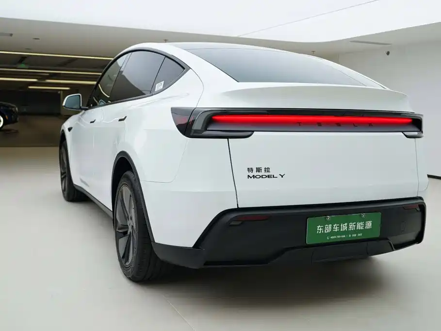 Tesla Model Y — миниатюра 4