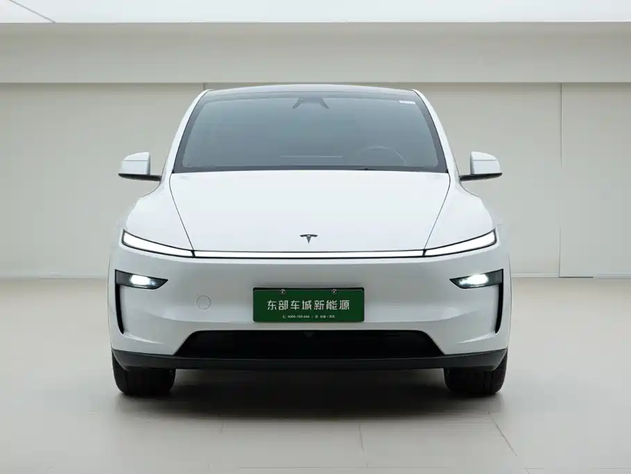 Tesla Model Y — миниатюра 2