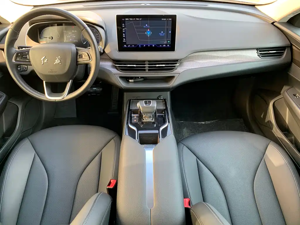 Hongqi Hongqi E-QM5 - фото 14