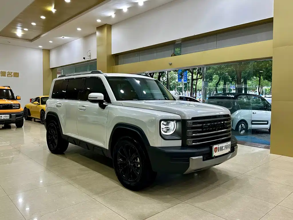 Haval Menglong New Energy — миниатюра 6