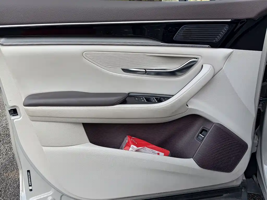 BYD SONGJIANG NEW ENERGY