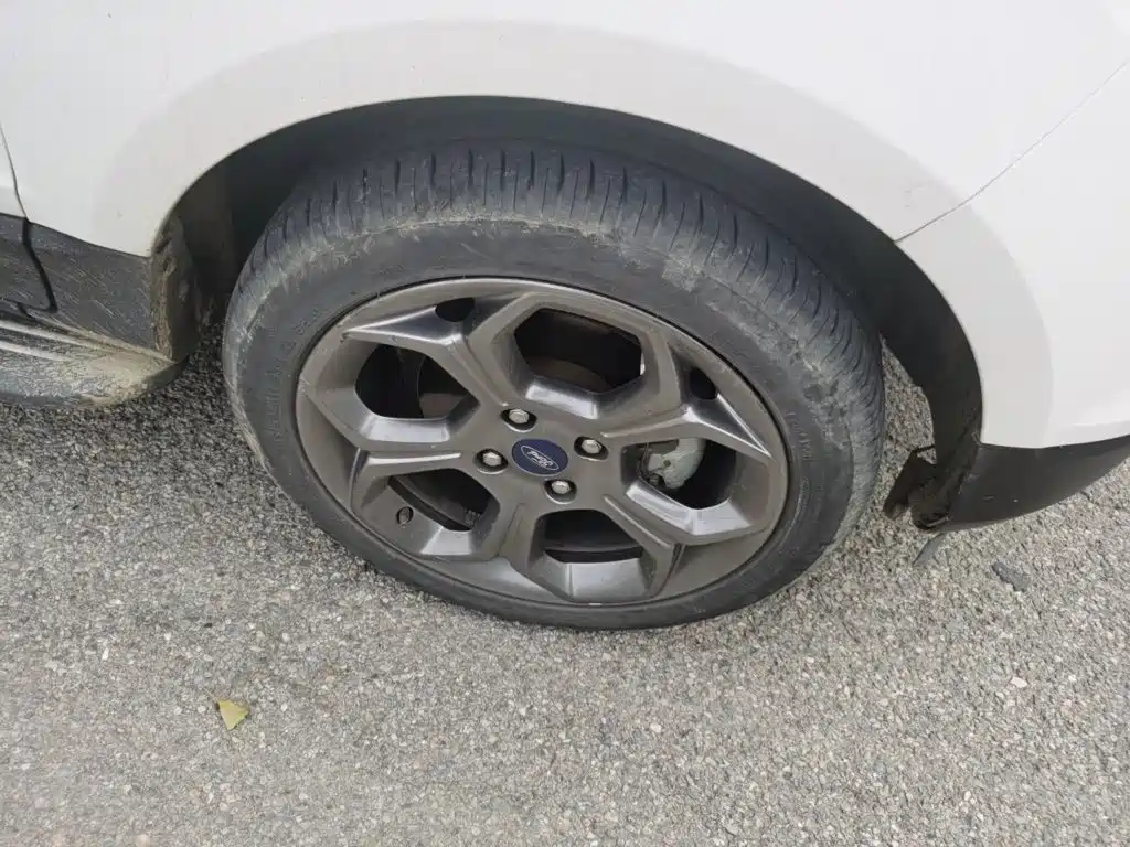Ford Ecosport — миниатюра 8