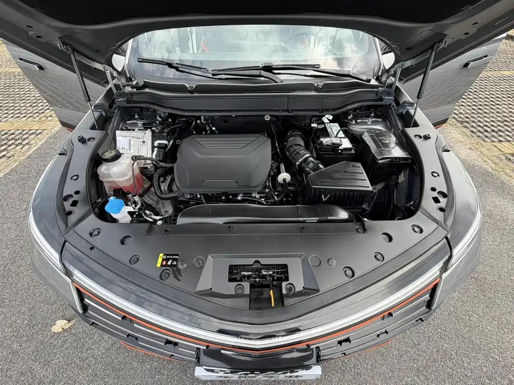 Haval Shenshou — миниатюра 26