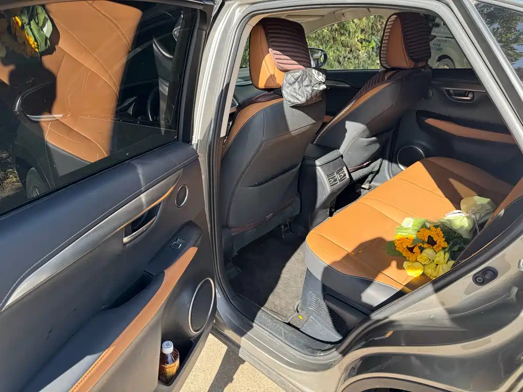 Lexus NX — миниатюра 4