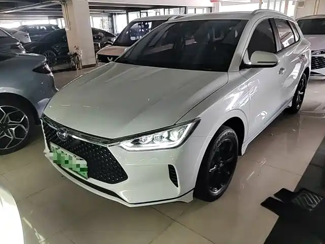 2021 BYD e2