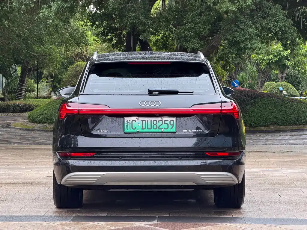 Audi e-tron (Import) — миниатюра 5