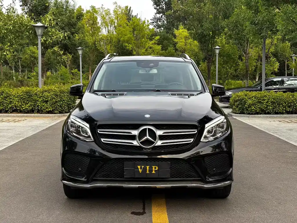 Mercedes-Benz GLE (Import) GLE 320 4MATIC Luxury Type, фото 2