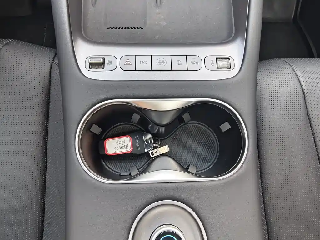 BYD Haisi 06 — миниатюра 14