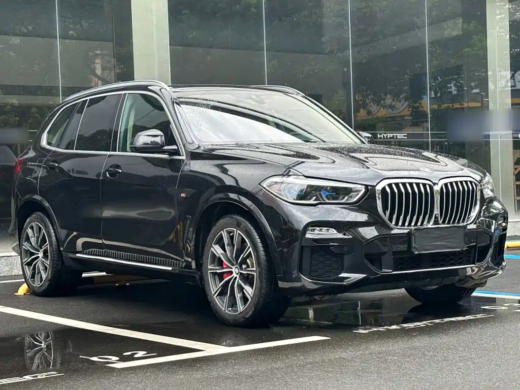 BMW X5 (Import) — миниатюра 15