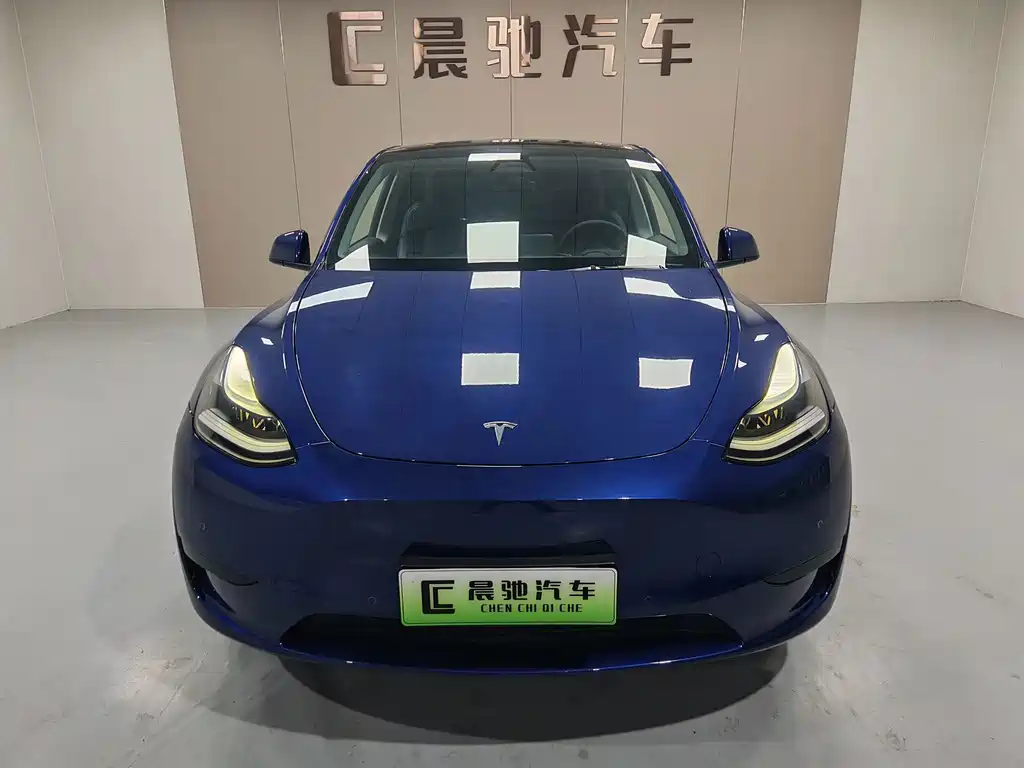 Tesla Model Y — миниатюра 2