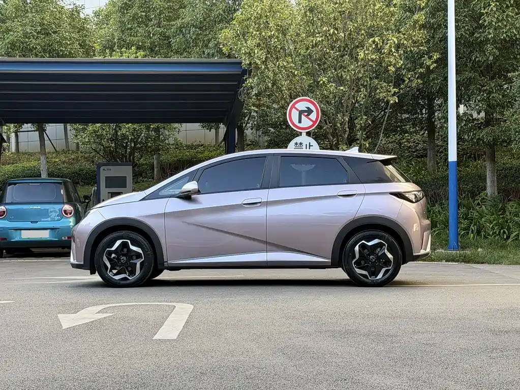 BYD Dolphin — миниатюра 6