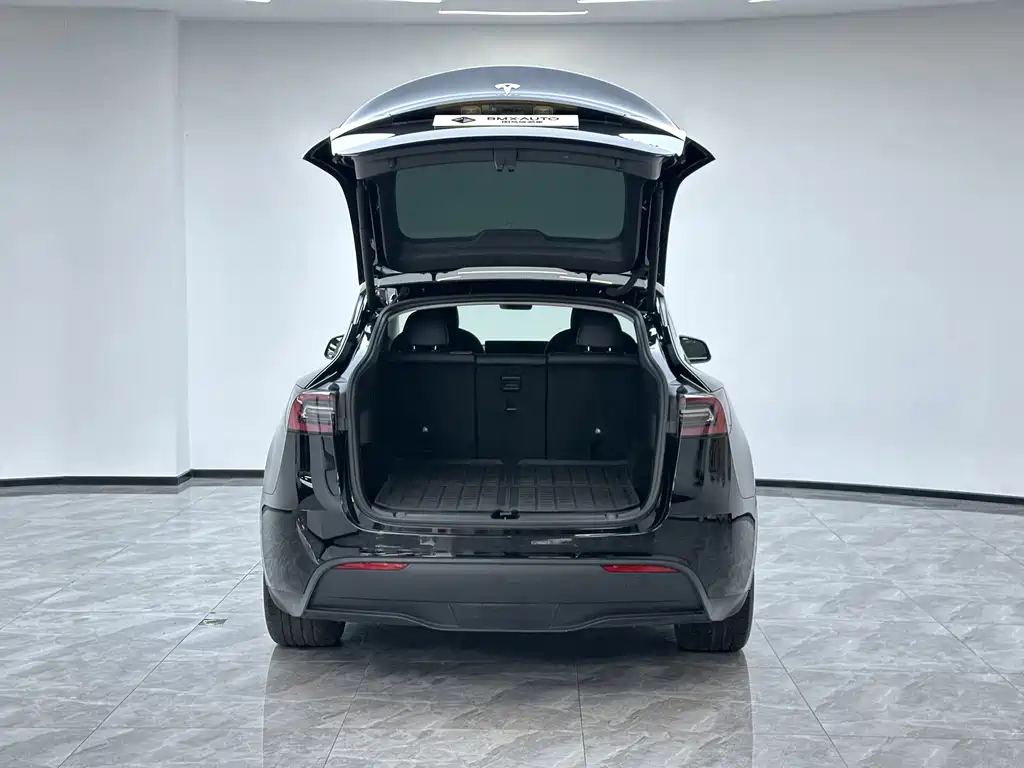 Tesla Model Y — миниатюра 9